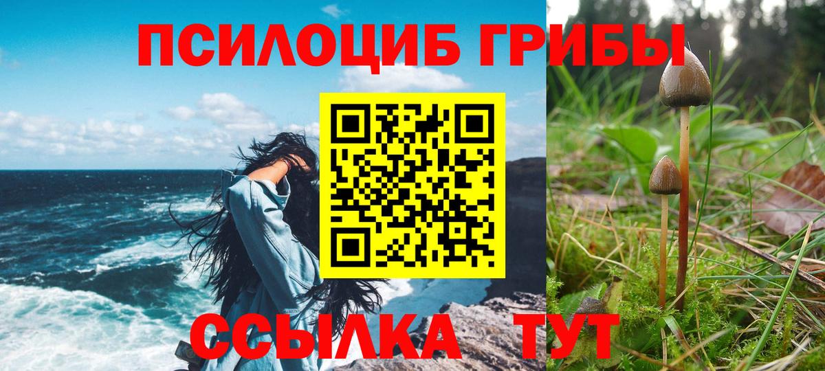Острогожск  Галлюциногенные грибы прущие грибы  Вход с VPN 