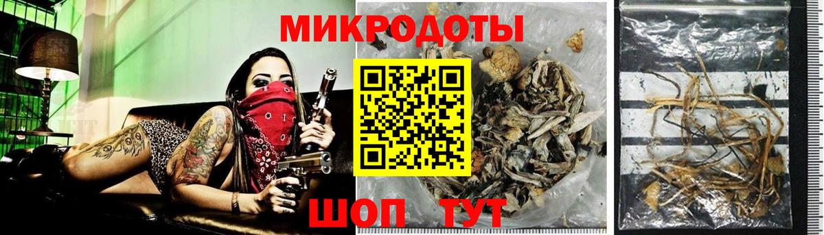 Псилоцибиновые грибы мицелий Острогожск